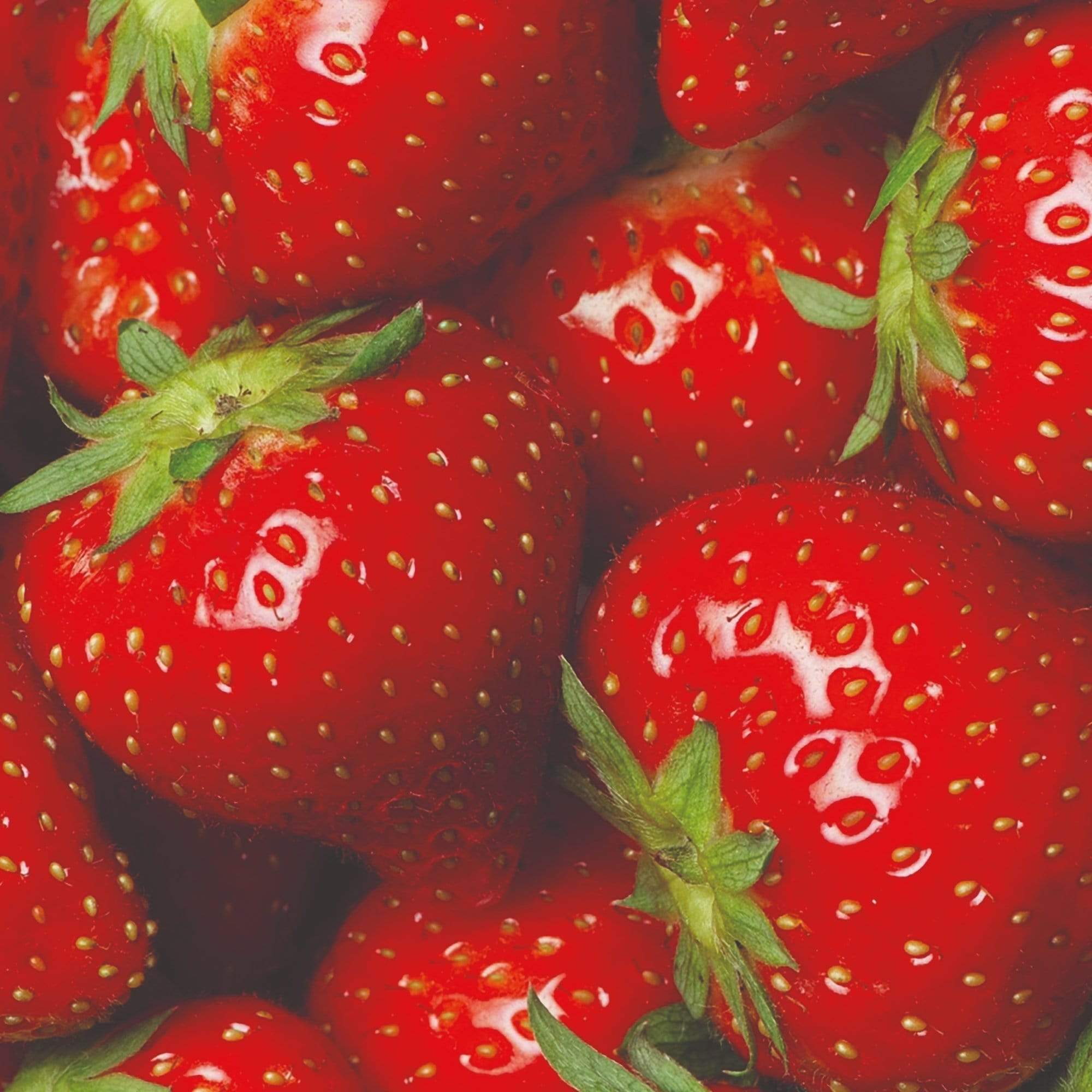 All Season Strawberry Plants Collection - Image 3