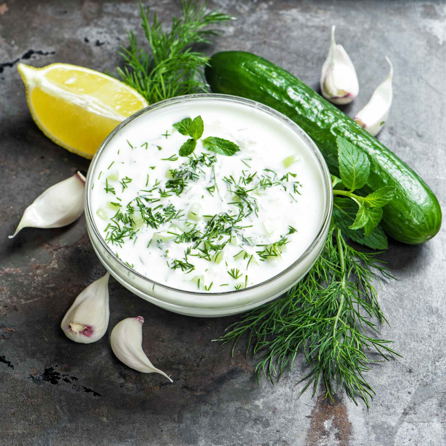 Dill Plant - Image 4