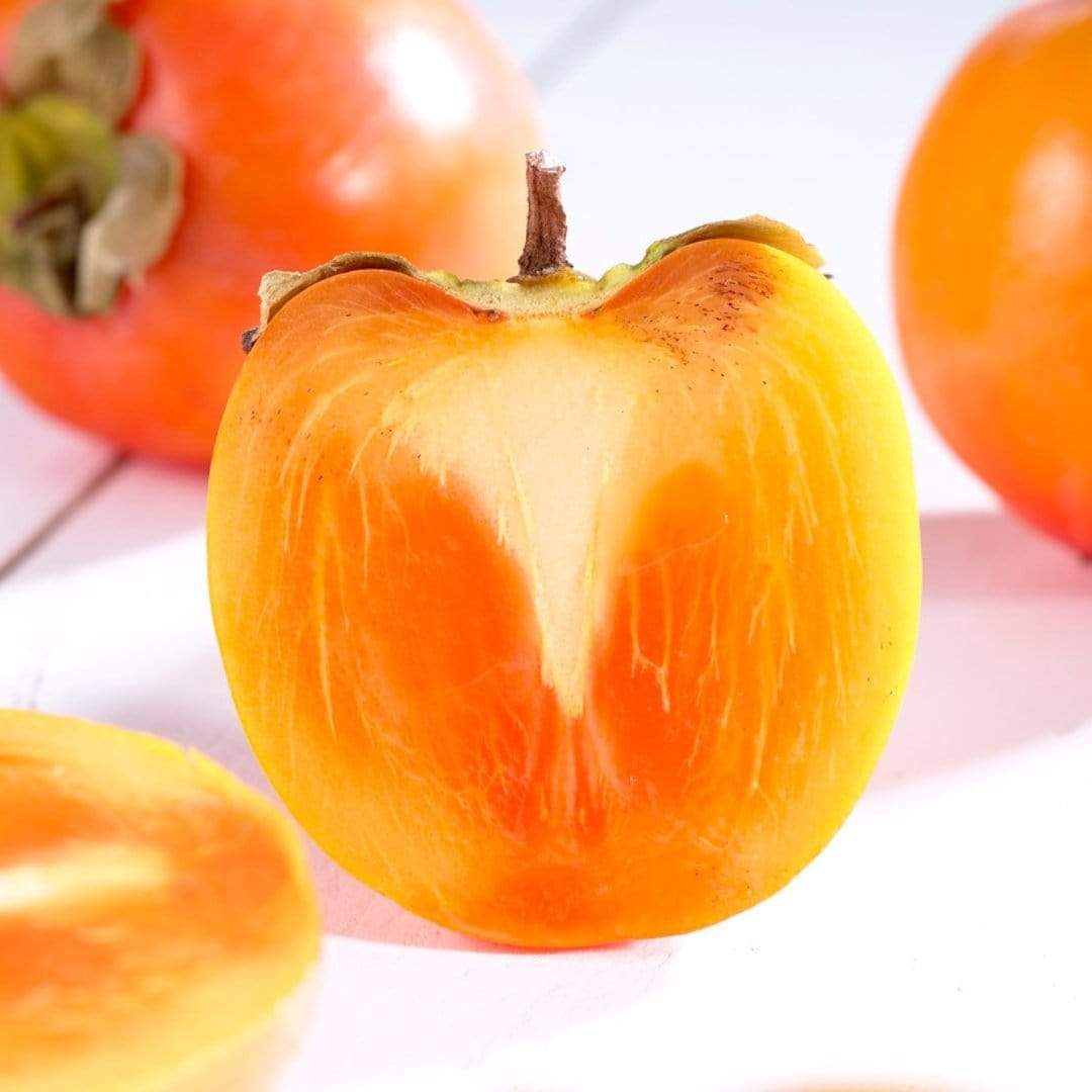 Japanese Persimmon Tree - Image 3