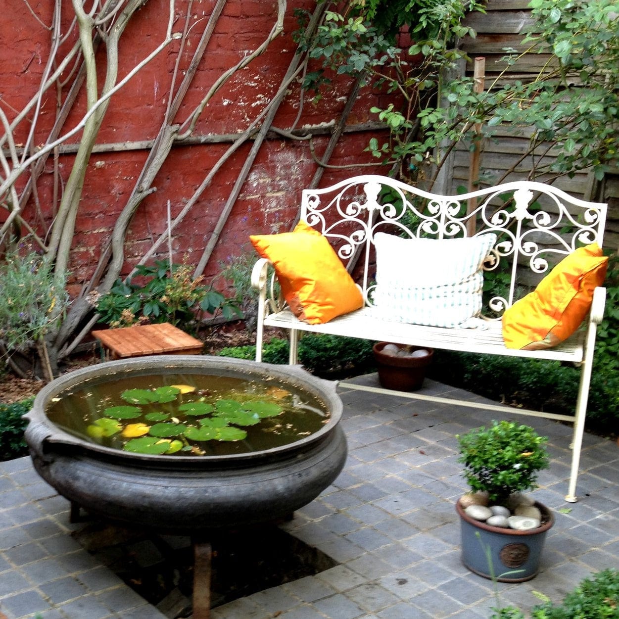 Pond in a Pot Planting Kit | Oxygenating & Wildlife | Flowers & Structure - Image 3