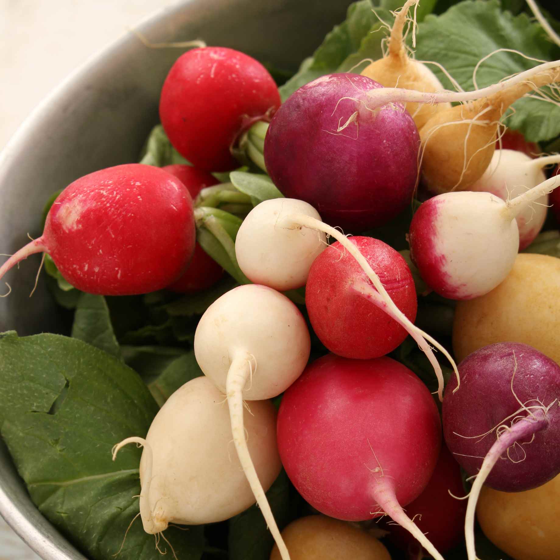 Mixed Radish Plants - Image 2